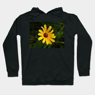 Flower Collection 8 Hoodie